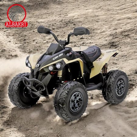 🔥Can_Am Renegade🔥